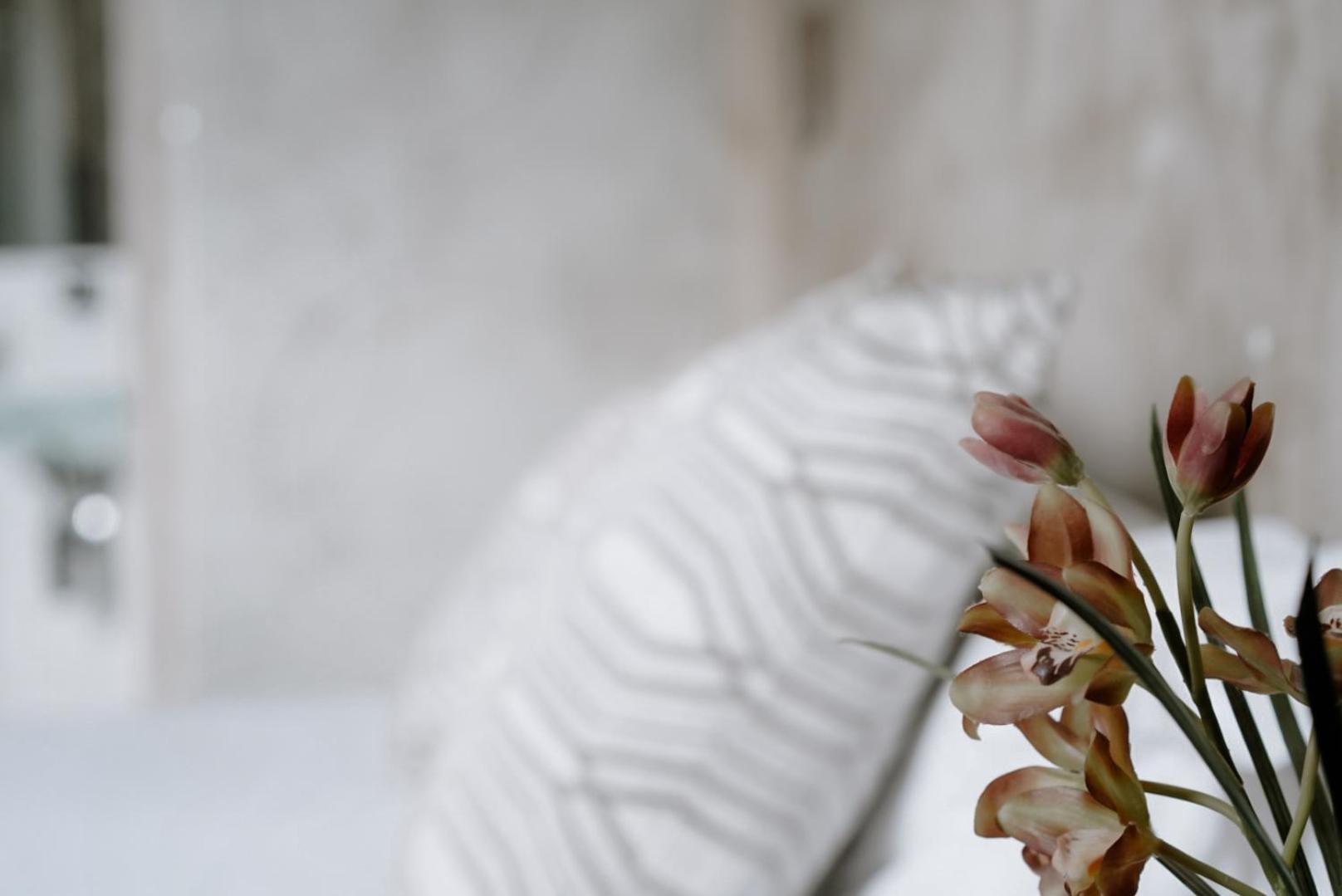 Ideal Sejour Cannes - Stylish Boutique Hotel With Quiet Garden מראה חיצוני תמונה